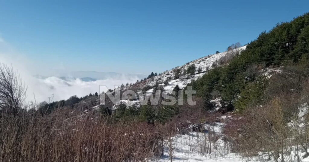 Δεν ανήκει στον 45χρονο διοικητή της πυροσβεστικής των Άνω Ποροΐων το αυτοκίνητο που εντοπίστηκε στο όρος Μπέλλες