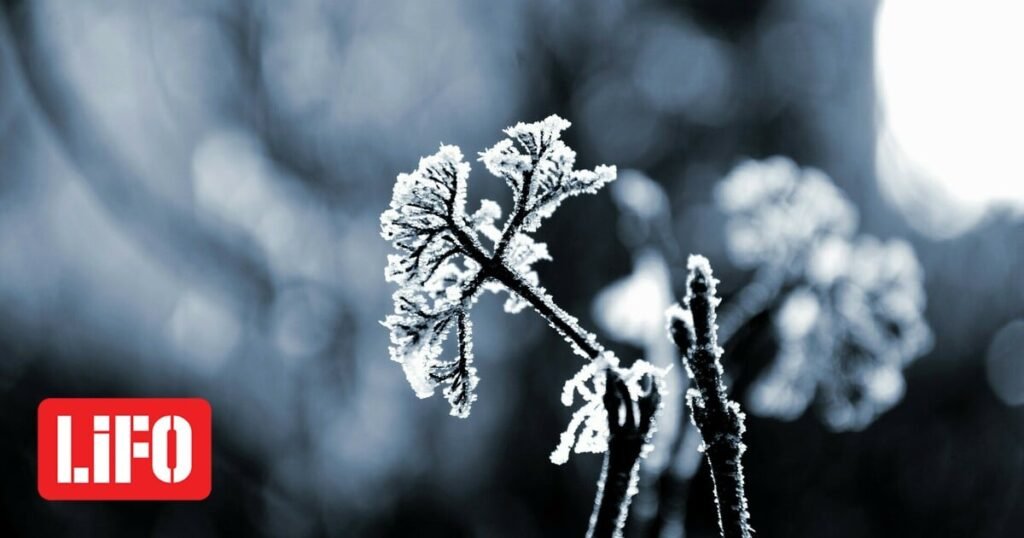 Καιρός: Σε πλήρη εξέλιξη η ψυχρή εισβολή – «Βουτιά» του υδράργυρου υπό το μηδέν και χιόνια