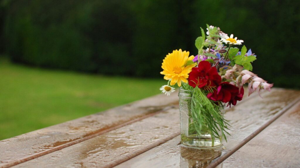 Καιρός Καθαράς Δευτέρας: Που θα σημειωθούν τοπικές βροχές – ΕΝΗΜΕΡΩΣΗ