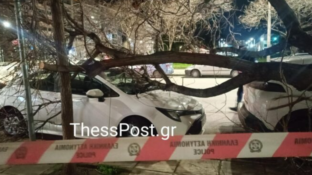 Θεσσαλονίκη: Οι θυελλώδεις άνεμοι ξερίζωσαν δένδρα – Ακυρώθηκαν πτήσεις στο αεροδρόμιο Μακεδονία