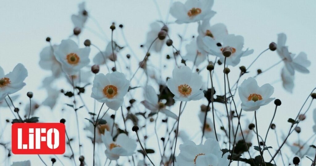 Καιρός: «Το κρύο κλείδωσε», λέει ο Γιώργος Τσατραφύλλιας