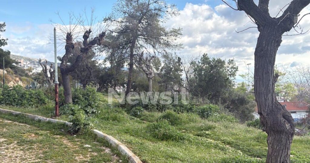 Περιστέρι: 5 φορές πυροβόλησε ο άνδρας που ζήτησε από παιδιά να τον τραβήξουν βίντεο